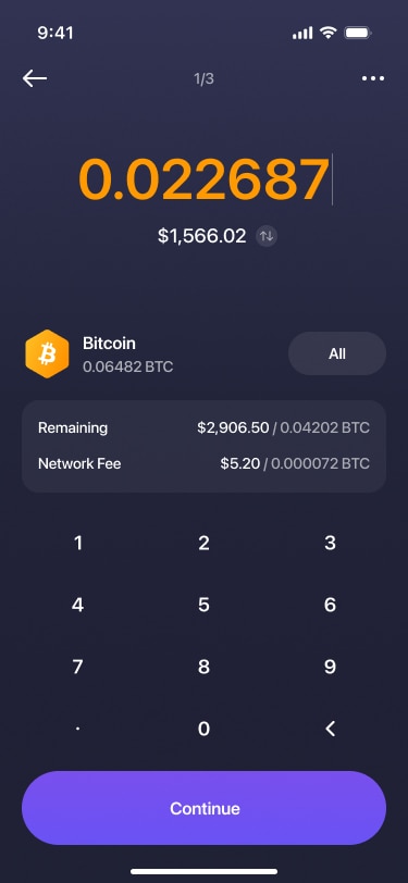Mobile app screen showing the send form with amount input and remaining balance
