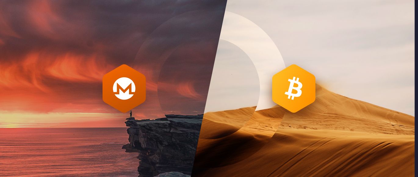 Monero vs. Bitcoin: Which is the True King of Privacy?