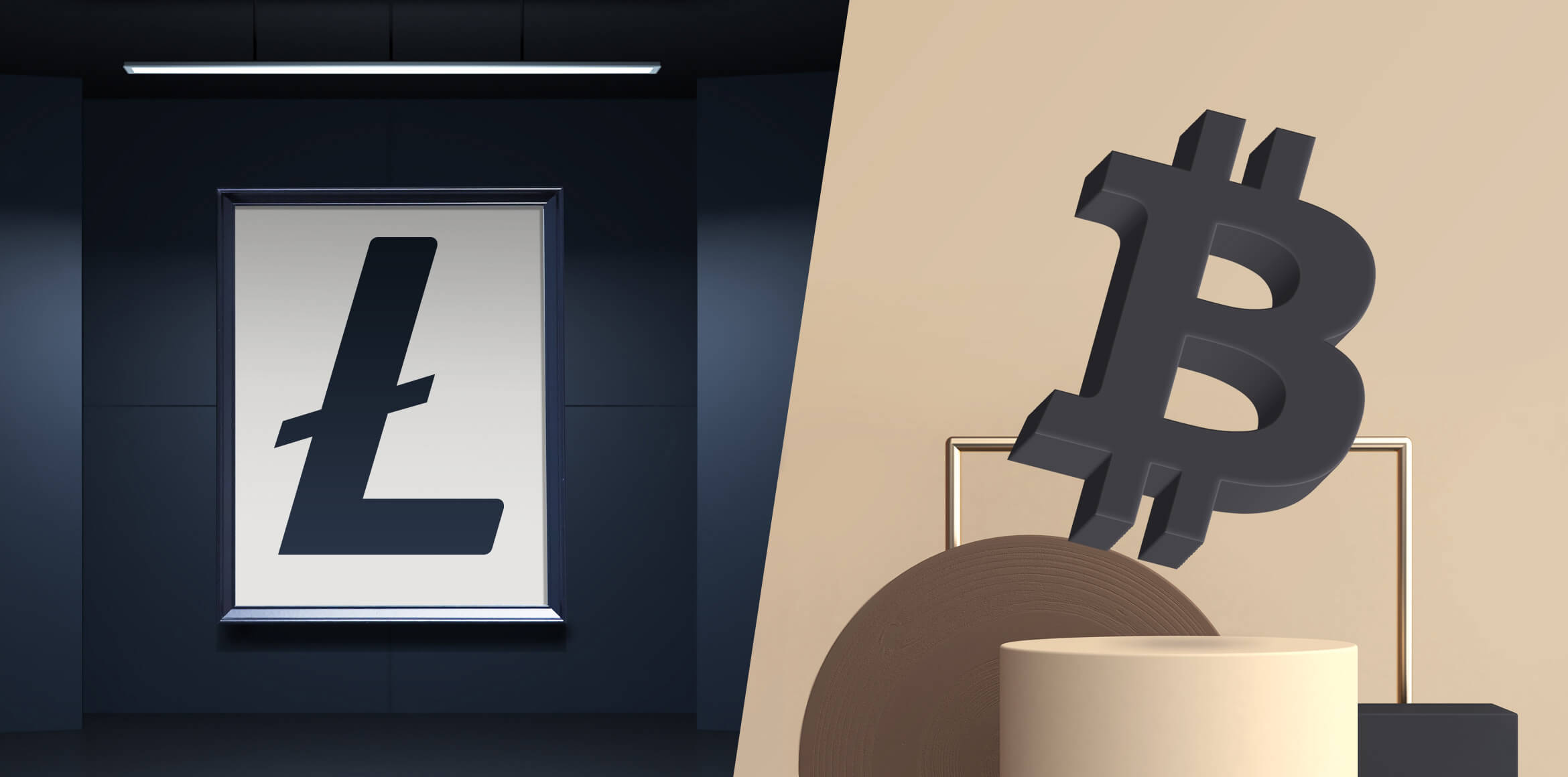 Litecoin vs. Bitcoin: The Difference & Which is Better | LTC vs BTC