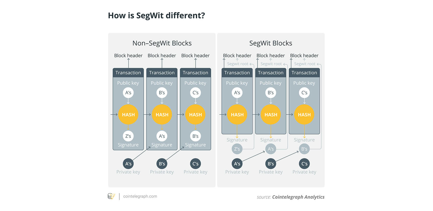 segwit explained in a picture by cointelegraph