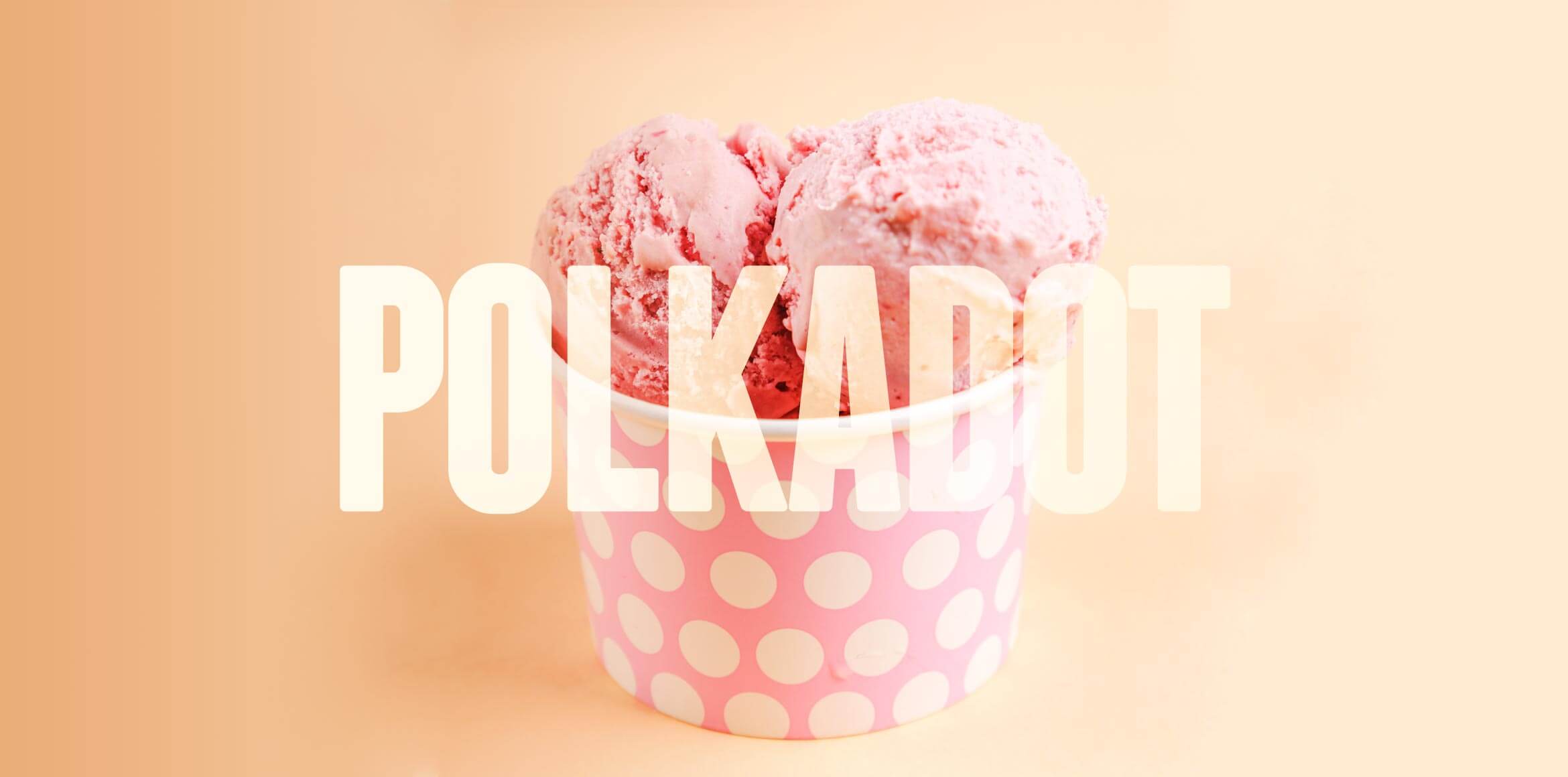 What is Polkadot Crypto? DOT Coin