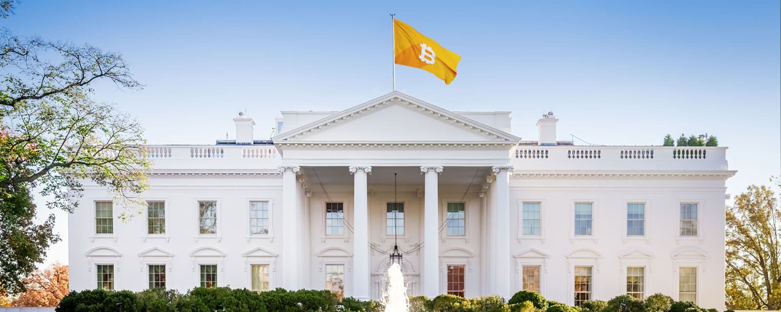 The Top 3 Financial Regulators Under Biden and What they Think of Crypto