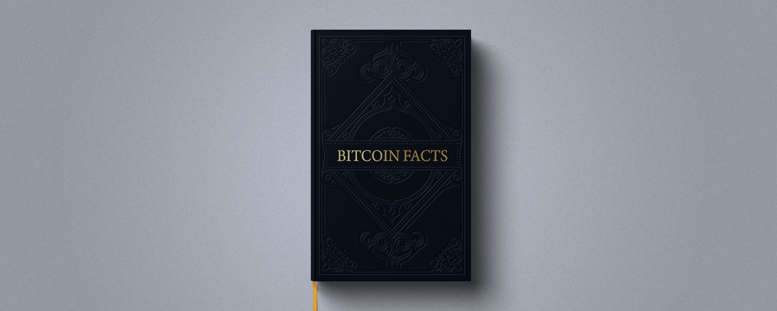 Fascinating Bitcoin Facts that you should know