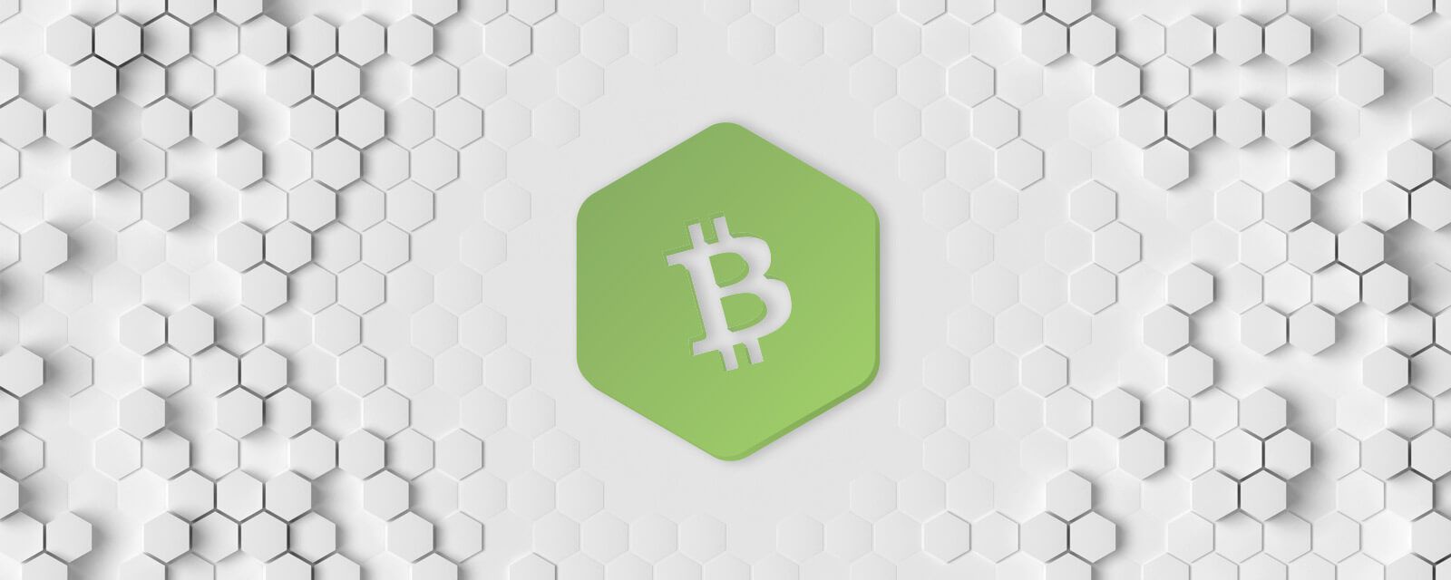 What is Bitcoin Cash?
