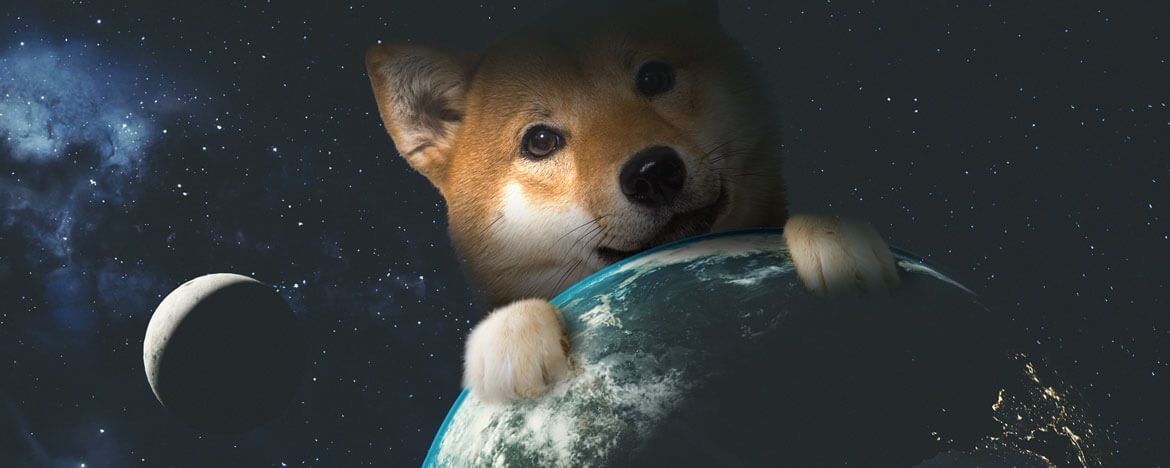 Is Dogecoin taking over the world?