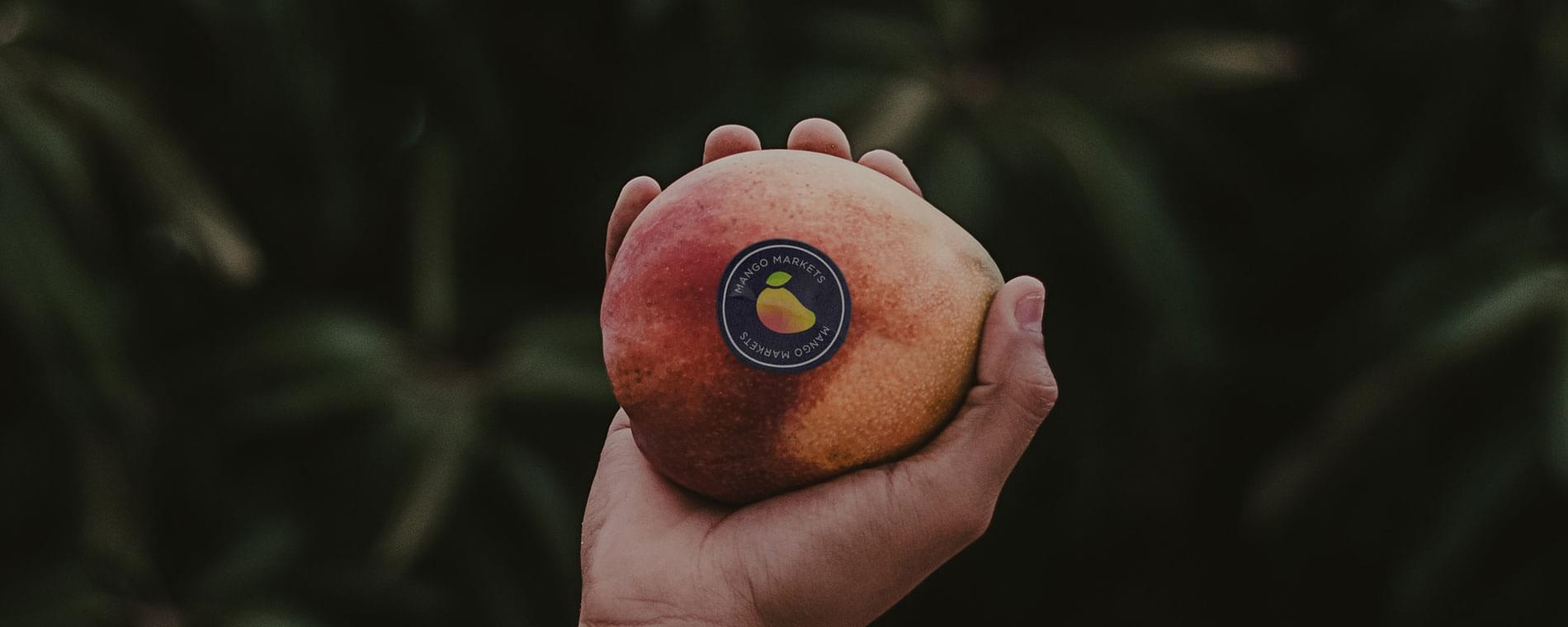 What is Mango Markets? MNGO token explained