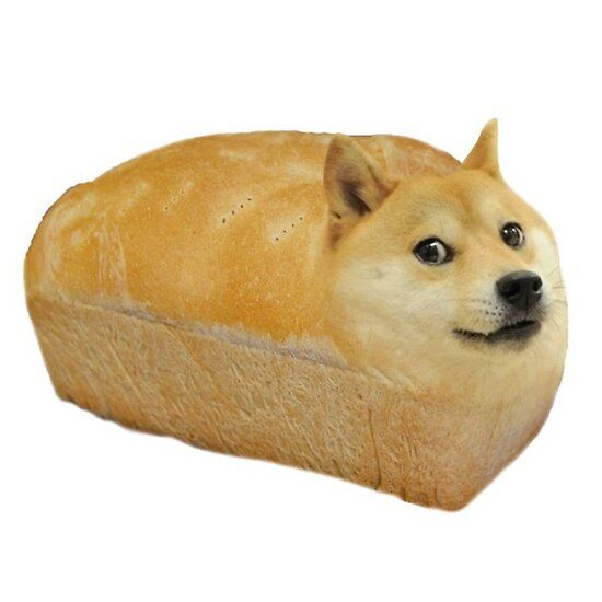 Doge Memes